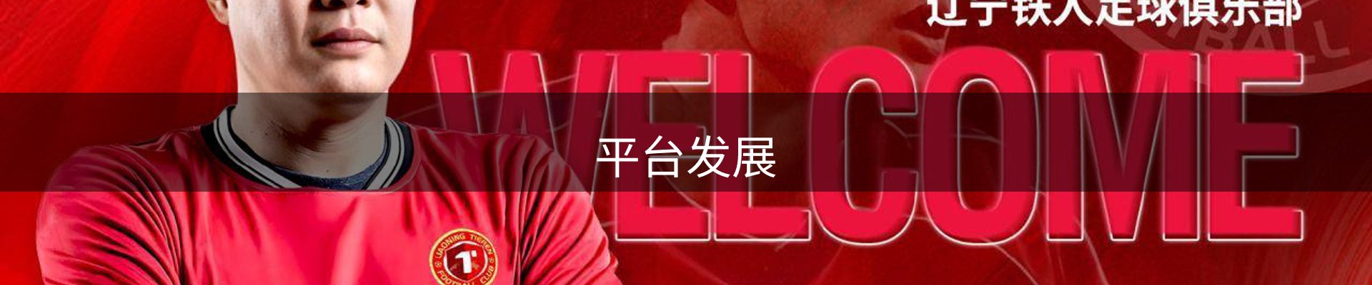 平台发展